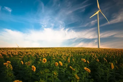 Sustainable Horizons: The Emergence of Clean Energy Funds